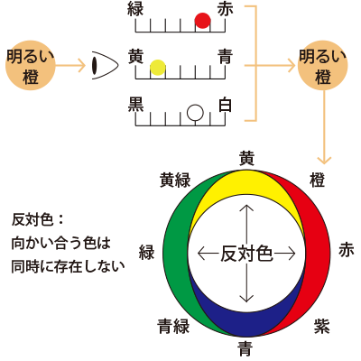 アクセシビリティを考える 人が色を見るしくみについて ブログ 名古屋のweb制作会社 アイデアソース